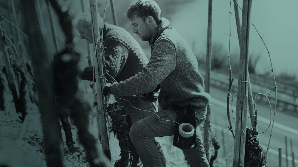 Bremmer Calmont Schneiden