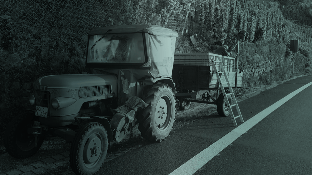 Bremmer Calmont Weinlese